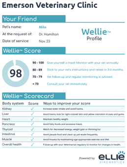 Wellie Report Ellie Diagnostics Web