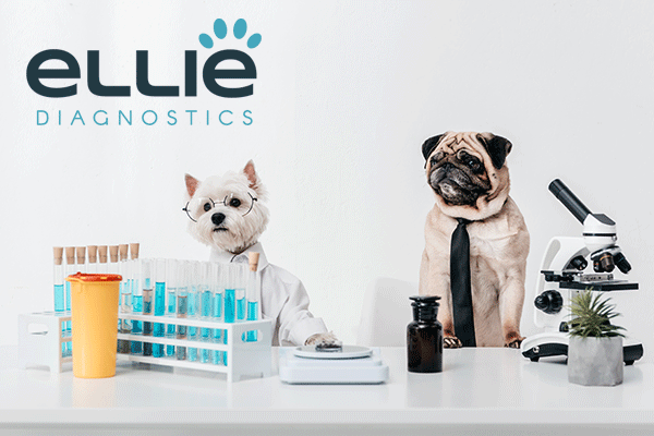 Ellie-Diagnostics-Flagship-Laboratory-Grand-Opening Ellie-Diagnostics-Flagship-Laboratory-Grand-Opening