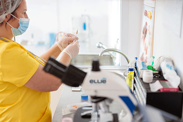 Ellie-Diagnostics-Laboratory-In-House-Clinic Ellie-Diagnostics-Laboratory-In-House-Clinic