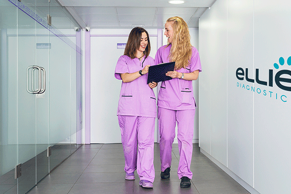 Ellie-Diagnostics-Laboratory-Veterinarian-Attractive-Pricing Ellie-Diagnostics-Laboratory-Veterinarian-Attractive-Pricing